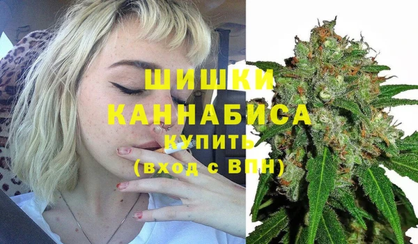 амф Бронницы