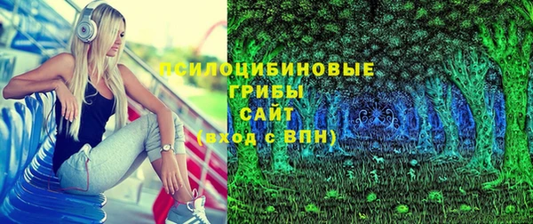 амф Бронницы
