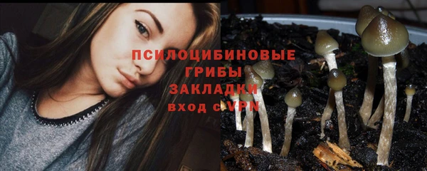 амф Бронницы