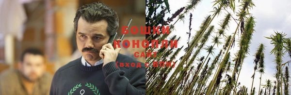 кокс Бородино