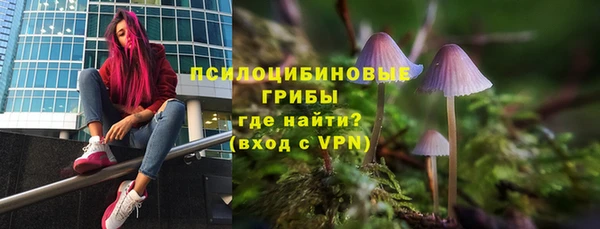 кокс Бородино