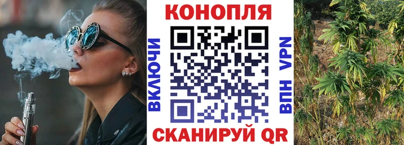 сколько стоит  Дзержинский  Каннабис ГИДРОПОН 
